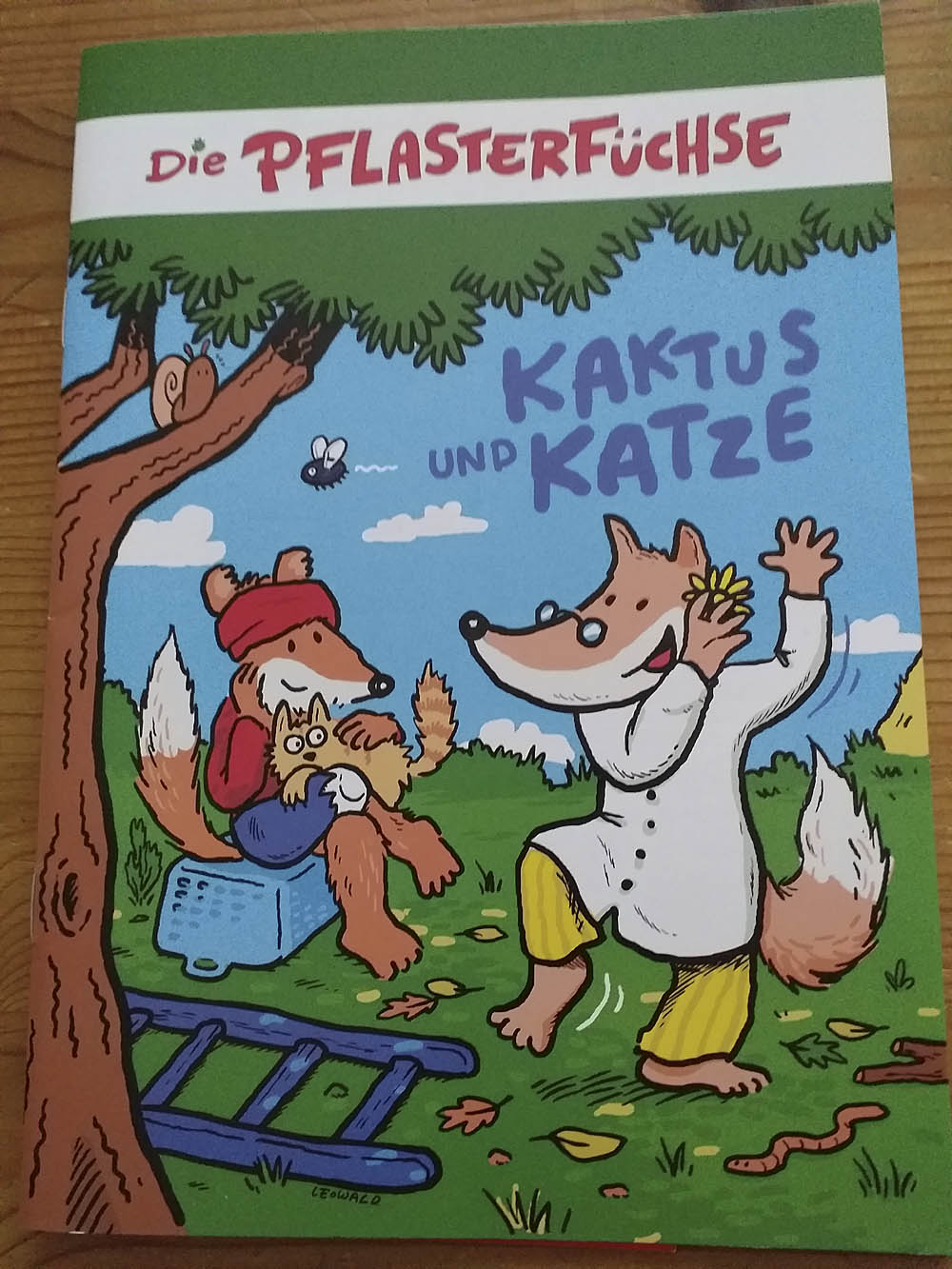 2024 10 Pflasterfuchs 03