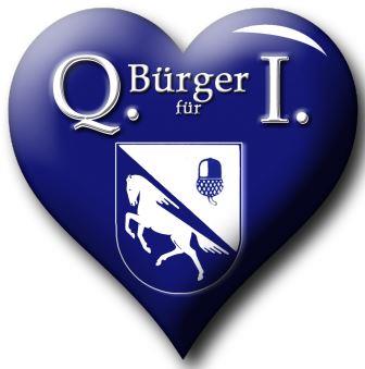 logo bfqi